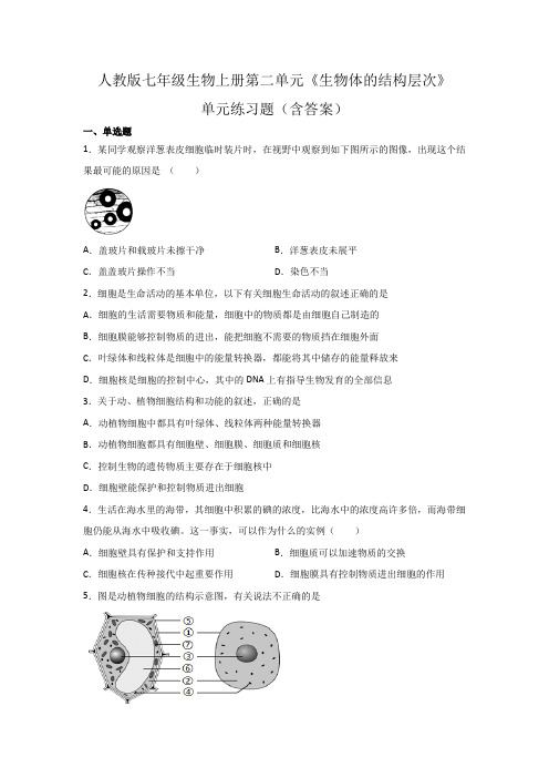 人教版七年级生物上册第二单元《生物体的结构层次》单元练习题(含答案)