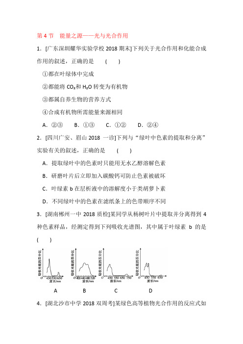 2019高考生物第4节  能量之源——光与光合作用