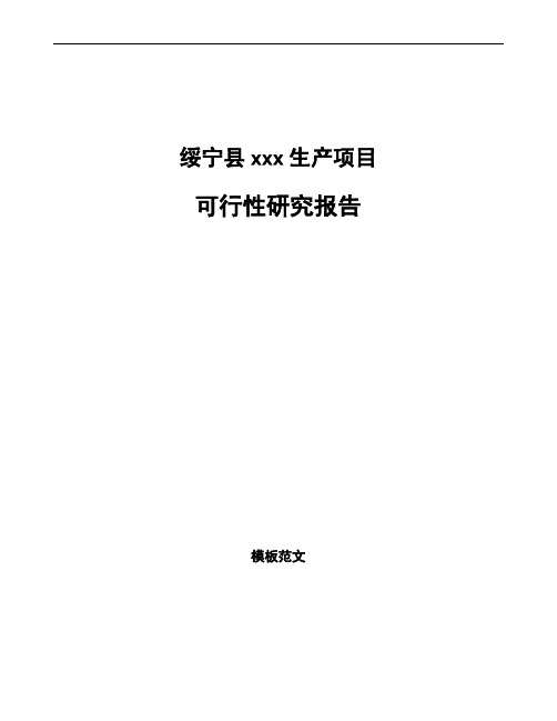绥宁县项目可行性研究报告通用模板