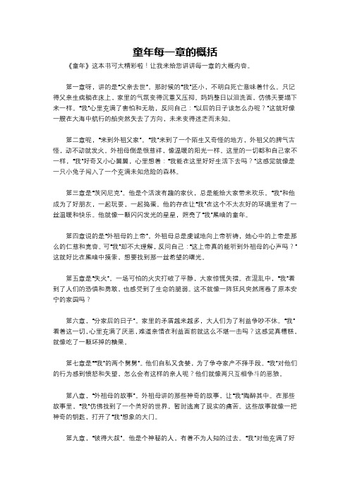童年每一章的概括