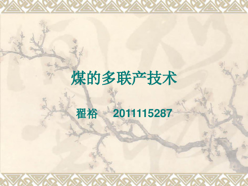 煤的多联产技术