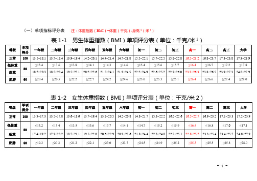 各单项成绩表及等级标准