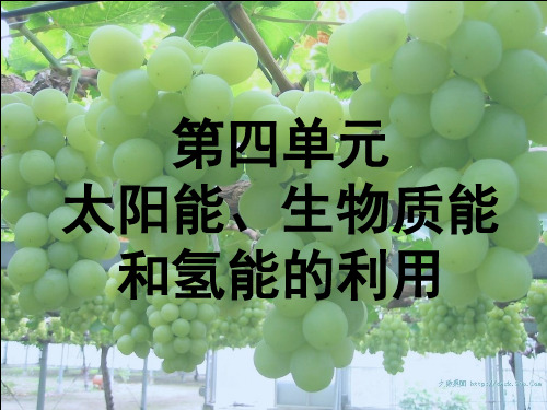 24太阳能生物质能和氢能的利用   课件 (共49张PPT) 苏教版必修2