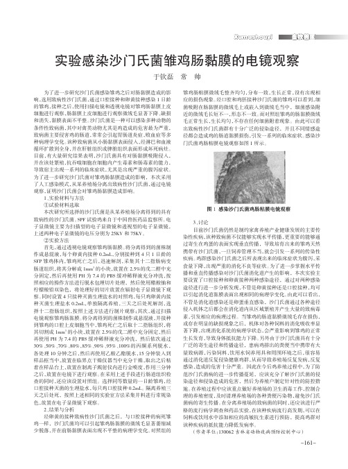 实验感染沙门氏菌雏鸡肠黏膜的电镜观察