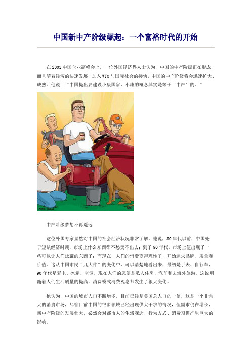 中国新中产阶级