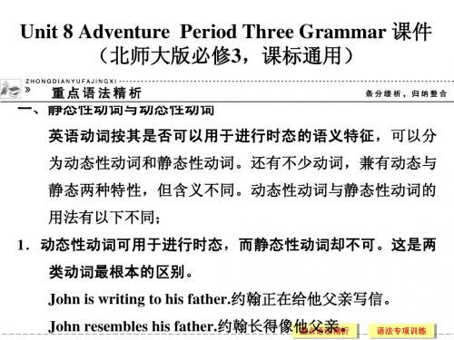 Unit 8 Adventure  Period Three Grammar 课件(北师大版必修3,课标通用)