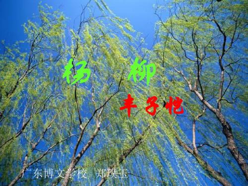 诵读欣赏：杨柳PPT1 苏教版 (共11张PPT)