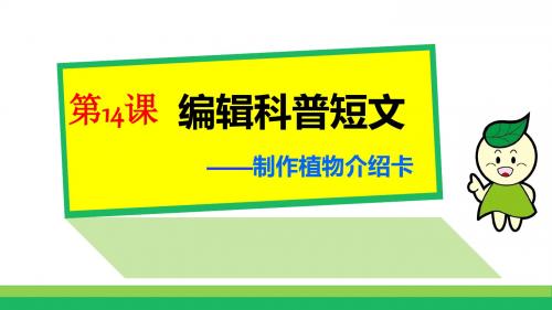 三年级下册信息技术课件-14编辑科普短文_浙江摄影版(新)