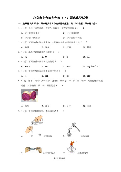 北京市丰台区九年级(上)期末化学试卷