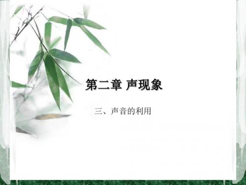 2.3声的利用-知识点梳理