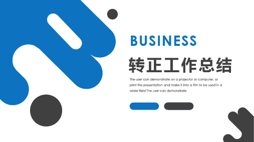 项目申报员转正述职报告PPT