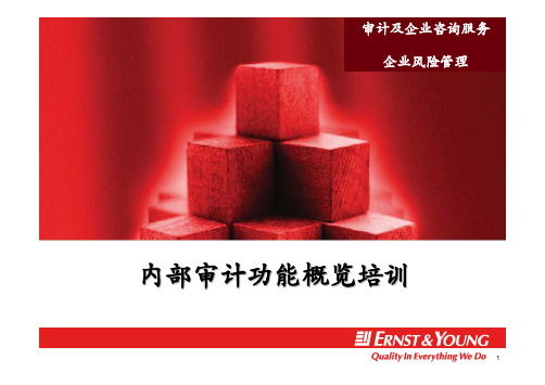 安永-内部审计功能-概览培训