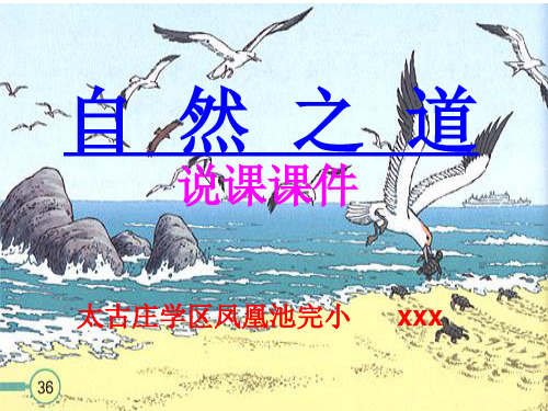 《自然之道》PPT课件
