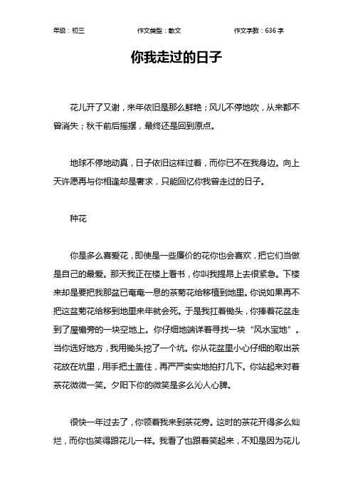 你我走过的日子作文【初中初三600字】