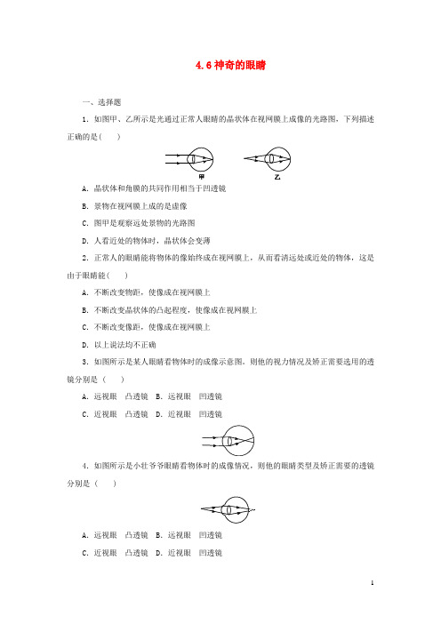 毕节市某中学八年级物理上册 4.6神奇的眼睛课时同步练含解析教科版