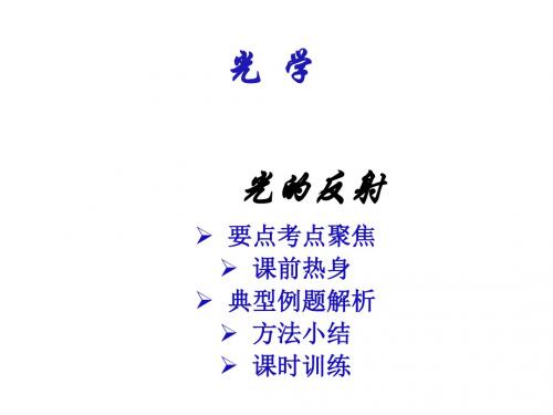 中考物理光的反射1(2018-2019)
