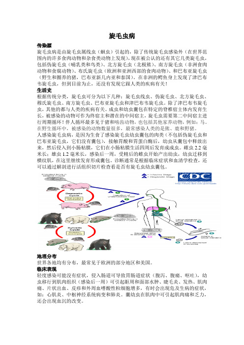 旋毛虫病简介