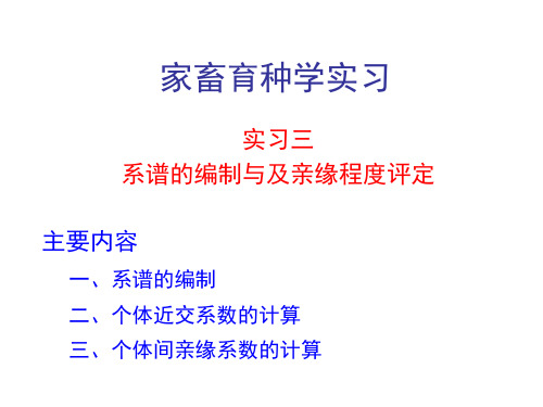系谱