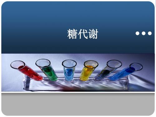 生化专题：糖代谢
