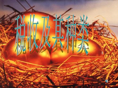 高一政治税收及其种类