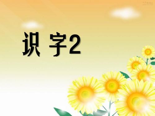 《识字2》 精品PPT课件2