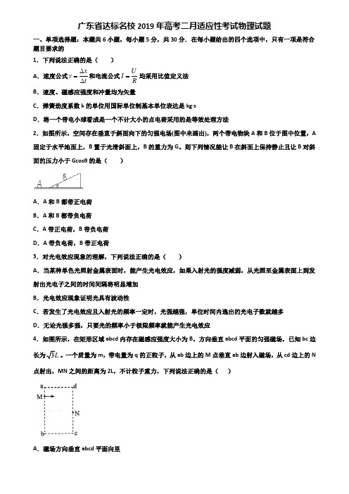 广东省达标名校2019年高考二月适应性考试物理试题含解析