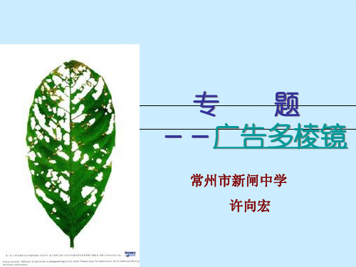 《专题——广告多棱镜》教学课件  常州市新闸中学