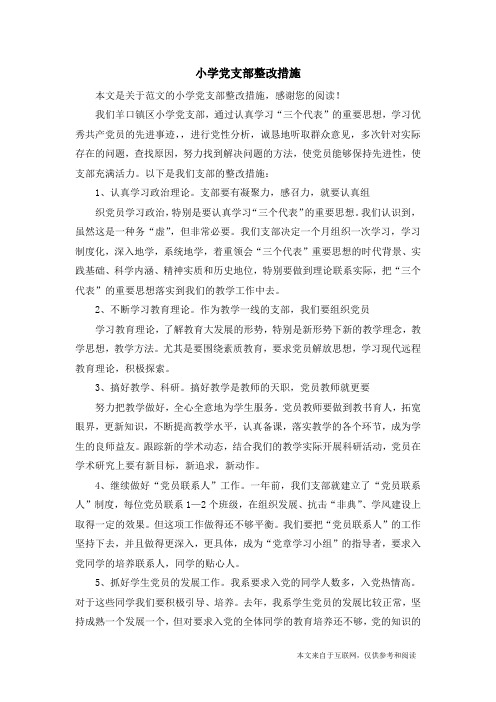 小学党支部整改措施_范文