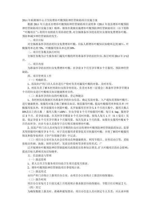 叶酸项目实施方案