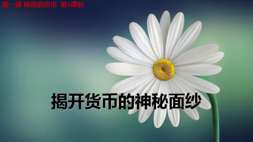 人教版高中政治必修1精品课件14：1.1 揭开货币的神秘面纱