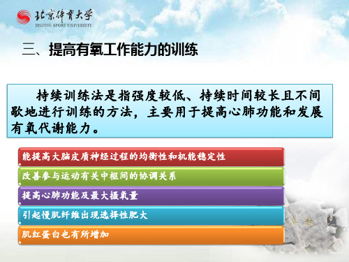 有氧、无氧工作能力的训练