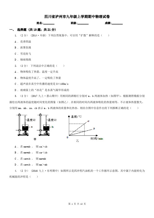 四川省泸州市九年级上学期期中物理试卷