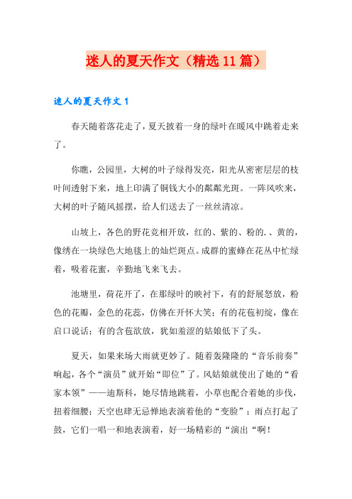 迷人的夏天作文(精选11篇)