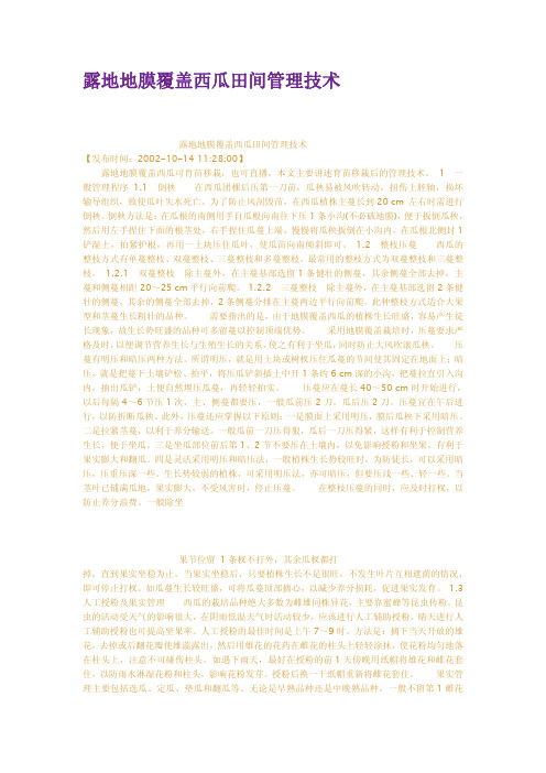 露地地膜覆盖西瓜田间管理技术
