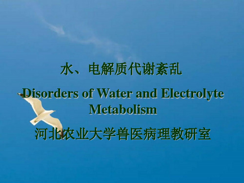 《水电解质紊乱1》ppt课件