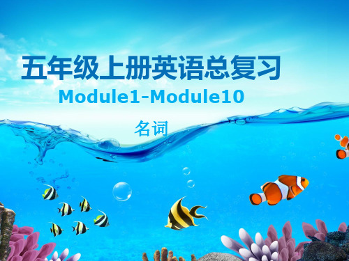 五年级英语上册总复习：名词(外研版)