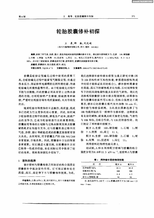 轮胎胶囊修补初探