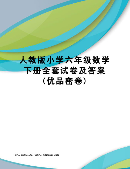 人教版小学六年级数学下册全套试卷及答案(优品密卷)