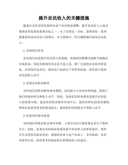 提升农民收入的关键措施