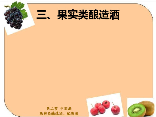 酒水知识2中国酒4配制酒