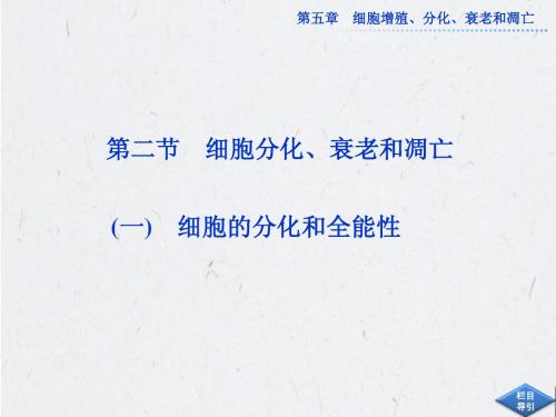 2013年苏教版生物必修1全册精品课件 第五章 第二节(一)