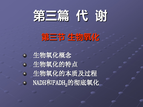 生物氧化