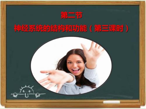 浙科版高中生物必修三《神经系统的结构与功能》第三课时课件(1)-新版