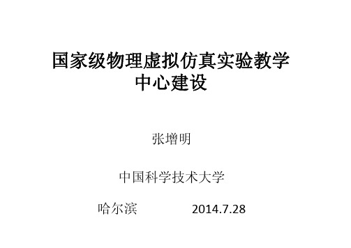 国家级物理虚拟仿真实验教学中心建设