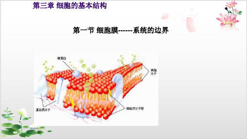 人教版_必修生物细胞膜——系统的边界课件1PPT