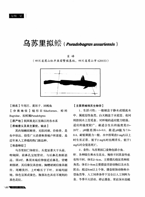 乌苏里拟鲿(Pseudobagms ussuriensis)