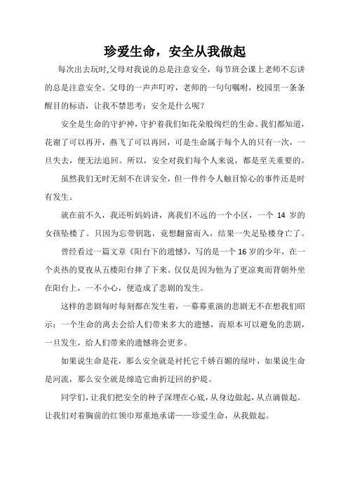 珍爱生命,安全从我做起