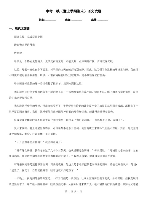 中考一模(暨上学期期末)语文试题