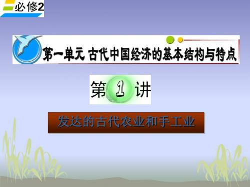 2012届高考历史必修2单元考点复习：发达的古代农业和手工业