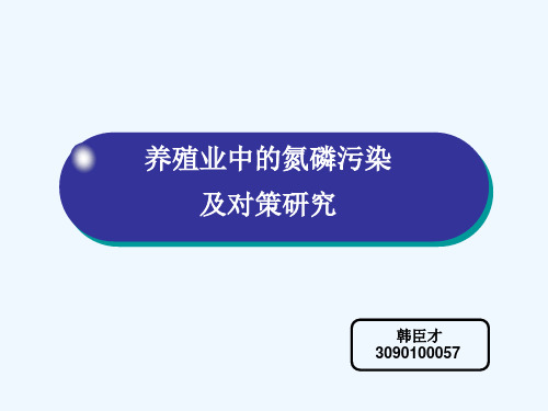 养殖业中的氮磷污染及对策研究.ppt